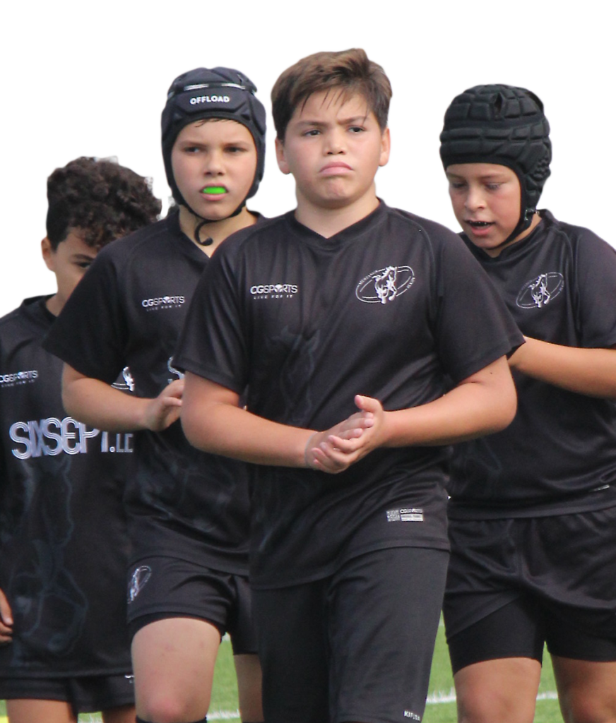 Sobre o Clube Mustangs